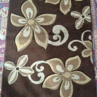 سه عدد پادری سالم