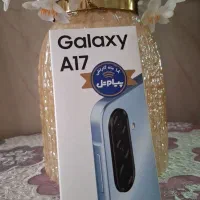 فقط نقد A17 256 زیر قیمت فی عمده فروش و همکار
