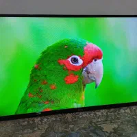 ال ای دی ۴۳ نکسار در حد اک پخش 4k|تلویزیون و پروژکتور|مشهد, شهرک مهر آباد|دیوار
