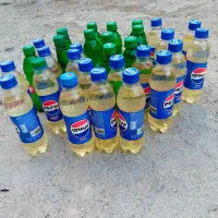 ریکا سیاه  قیمت ۲۰۰