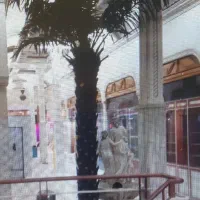 فروش نخل مصنوعی چینی