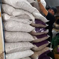 گردو