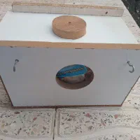 لانه عروس هلندی