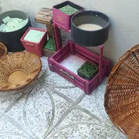 سبدوباکس گل|گل و گیاه طبیعی|تهران, مطهری|دیوار