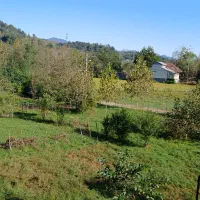 لنگرود  اطاقور سوئیت. حیاط دار ویو ابدی جای امن|اجارهٔ خانه و ویلا|لنگرود, |دیوار