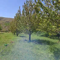 فروش زمین ۲۲۰۰ متری|فروش زمین و ملک کلنگی|قزوین, |دیوار