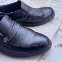 کفش مجلسی
