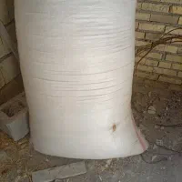 کاه موجود است.