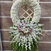 گلکده ارکیده|حراج|اصفهان, مرداویج|دیوار