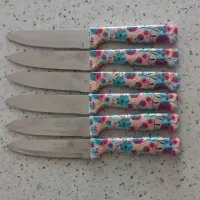 چاقو /کارد آشپزخانه