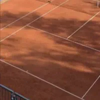 توپ جمع کن برای باشگاه تنیس