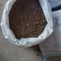 کودحیوانی گاوی|خدمات باغبانی و درختکاری|اردبیل, |دیوار