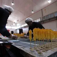 خط تولید نبات (سنتی ، نیمه صنعتی ،تمام صنعتی)