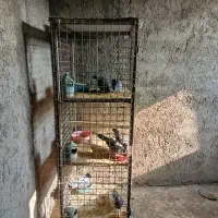 قفس آهنی سه طبقه
