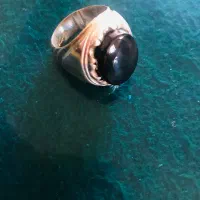 انگشتر نقره دست ساز عیاربالا