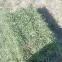 پرس یونجه انباری