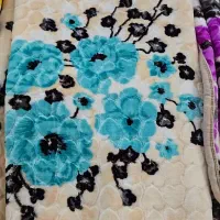 نمایندگی پتو سورینا از شرکت لیلیان در برازجان|رختخواب، بالش، پتو|برازجان, |دیوار