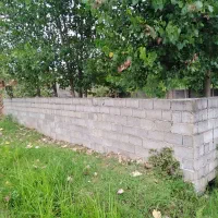 253 متر زمین مسکونی روستایی در اطراف رضوانشهر|فروش زمین و ملک کلنگی|رضوانشهر, |دیوار