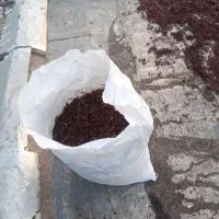 کشمش