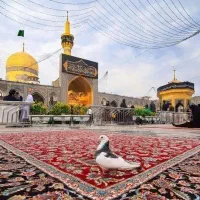 مقصد بعدی)) مشهد رضوی