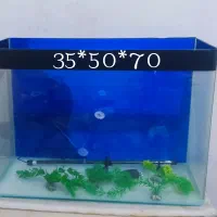 آکواریوم شرکتی..همراه با وسایل برقی