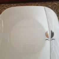 ظروف پذیرایی