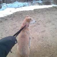 معاوضه هم دارم