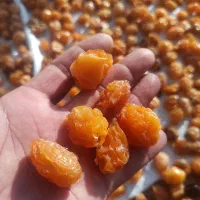 الو دودی درجه 1
