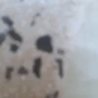 فروش حواله ساینا ۵۰ تومان