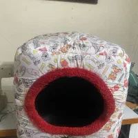 آغوشی و تشگ هاپو