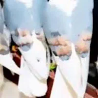 پشت گراف اهوازی با اصل ونسب زرد و سرخ کرمانی