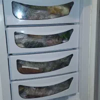 یخچال فریزر الکترواستیل|یخچال و فریزر|تهران, فردوس|دیوار