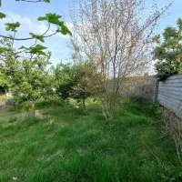 فروش زمین مسکونی در بابل بندپی غربی|فروش زمین و ملک کلنگی|خوشرودپی, |دیوار