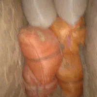 فروش کاه جو وکاه گندم|لوازم جانبی حیوانات|دزپارت, |دیوار