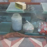 آکواریوم  بزرگ با شیشه ماهی