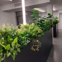 جدیدترین مدلهای اجرا شده درختچه و گیاه مصنوعی|گل مصنوعی|تهران, بازار|دیوار
