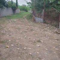 زمین صیفی کاری نستق دار درحوالی شهرستان ماسال|فروش زمین و ملک کلنگی|طاهرگوراب, |دیوار