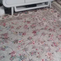 میز تلویزیون نو نو به فروش میرسد