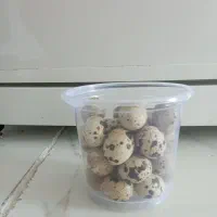 تخم بلدرچین محلی