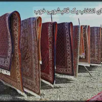 قالیشویی یغما فریبرز فضلی|خدمات نظافت|نیشابور, رحمت آباد|دیوار