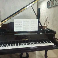 پیانو گرند|پیانو، کیبورد، آکاردئون|شیراز, شهرک مفتح|دیوار