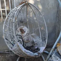 تاب ریلکسی