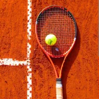 علاقه مندان تنیس خاکی