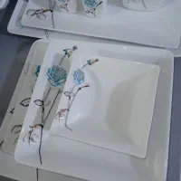 چینی نو نفیس اصل|ظروف سرو و پذیرایی|میاندوآب, |دیوار