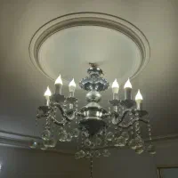 لوسترسه شاخه