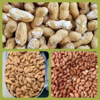 خشکبار و آجیل شب یلدا|خوردنی و آشامیدنی|سمنان, |دیوار