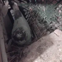 کبوترا همه سو قدیم عتیقه