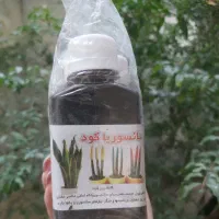 فروش تک وعمده کودهای تقویتی برای گلهای آپارتمانی|گل و گیاه طبیعی|رشت, علی آباد|دیوار