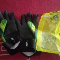 دستکش گلری|ورزش‌های توپی|رباط‌کریم, رباط‌کریم|دیوار