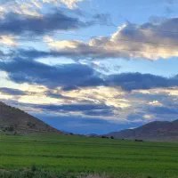 ۳ هکتار زمین کشاورزی مناسب سرمایه گذاری|فروش دفتر صنعتی، کشاورزی، تجاری|شیراز, گلستان|دیوار